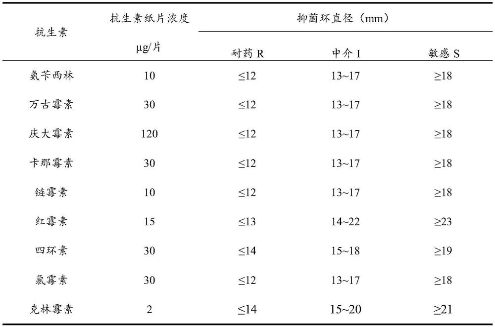 Bile salt tolerant and cholesterol-reducing probiotic composition and application thereof