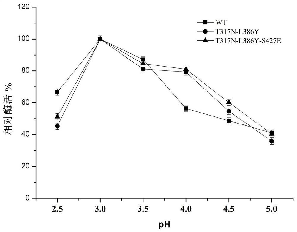 A Mutant of Multicopper Oxidase with Improved Salt Tolerance