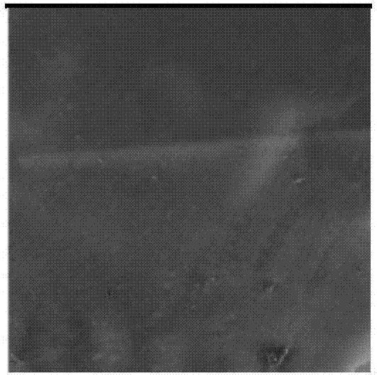 Lignosulfonate-polyvinyl alcohol blended coated soil conditioner and preparation method thereof