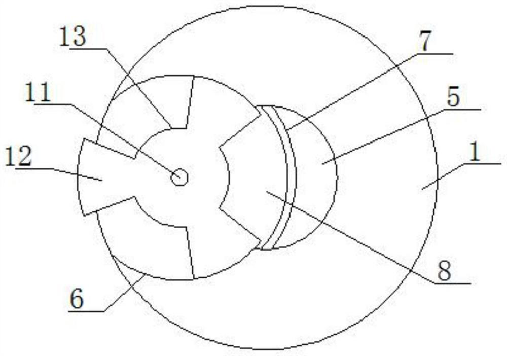 Agricultural scattered fertilizer releaser