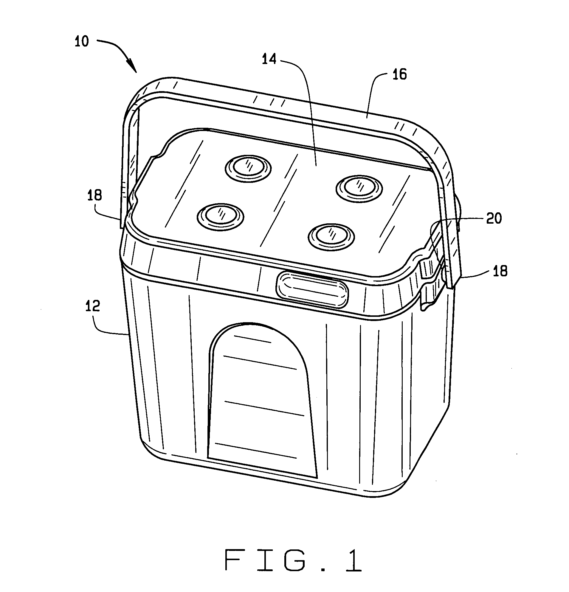 Insulated storage container having a removable liner