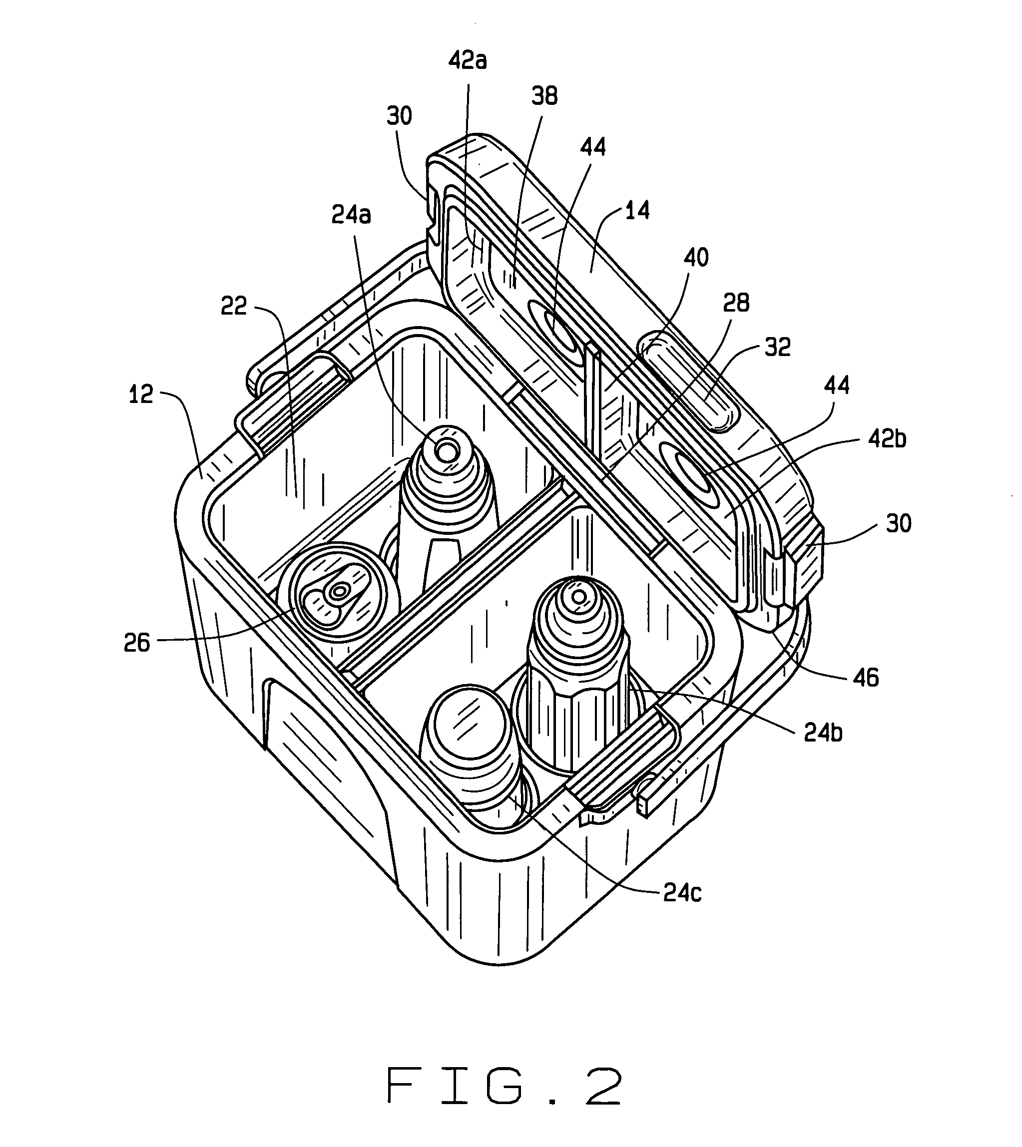 Insulated storage container having a removable liner