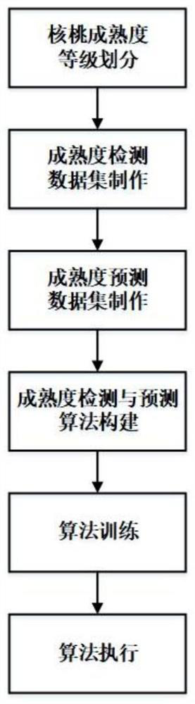 Visible light image-based walnut maturity detection and prediction method