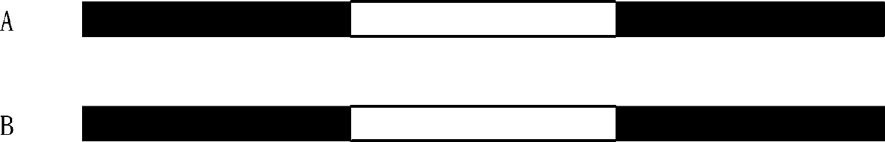 CT rack rotating part coding and code reading method