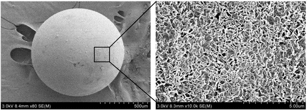 Method for deeply removing heavy metals in water by using resin-based copper phosphate nanoflower coating