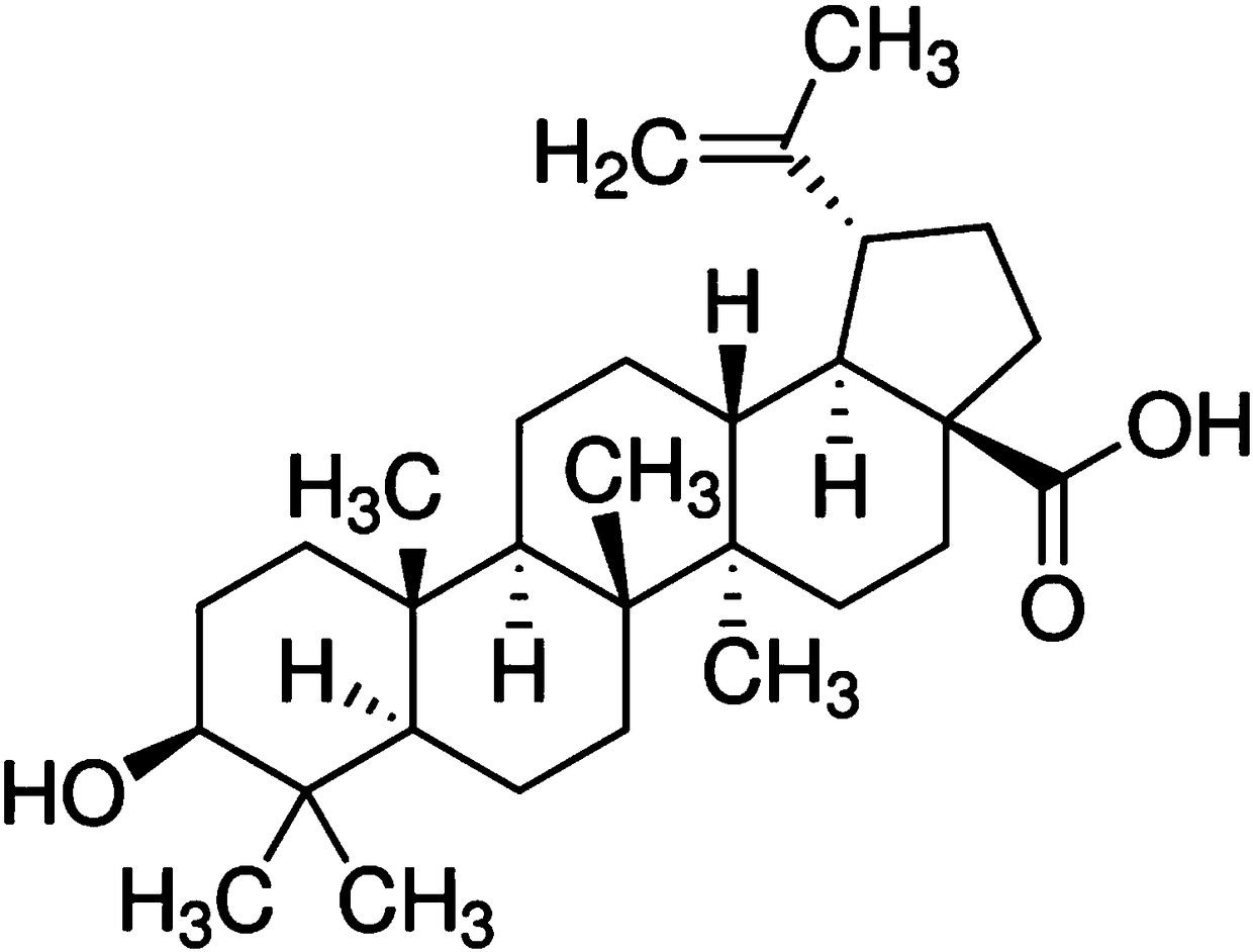 Application of betulinic acid as fatty acid synthase (FAS) inhibitor