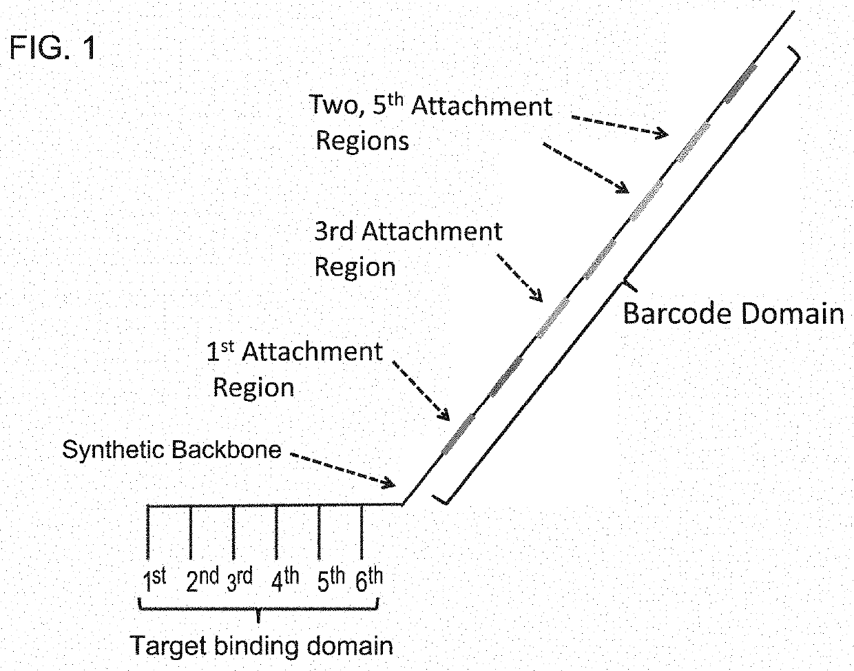 Enzyme- and amplification-free sequencing