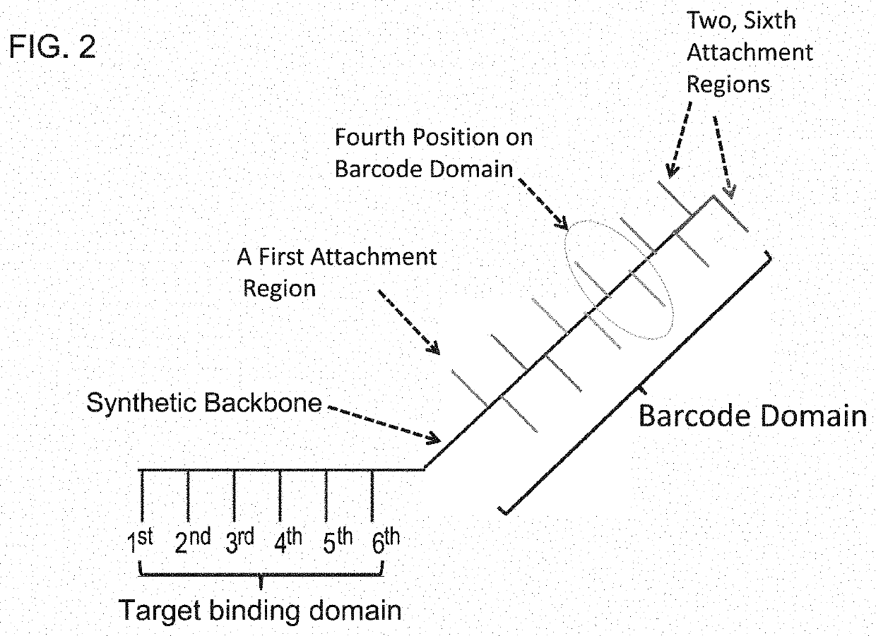 Enzyme- and amplification-free sequencing