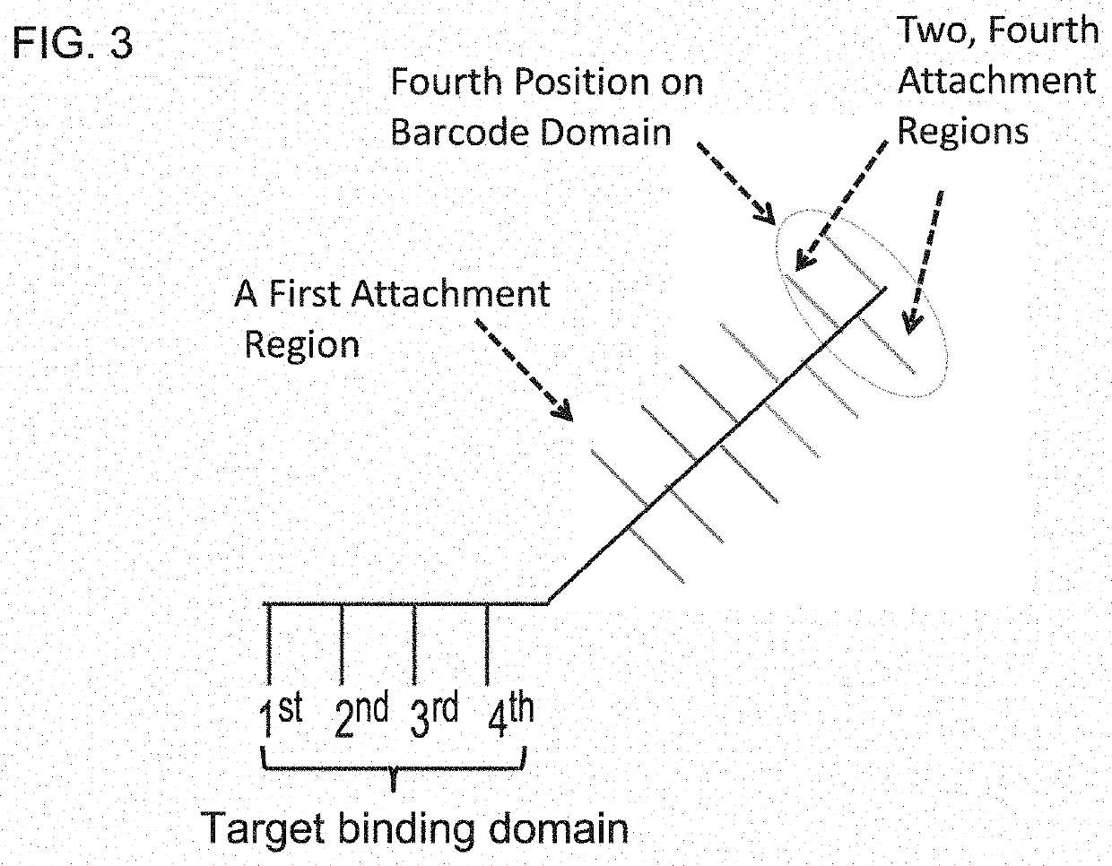 Enzyme- and amplification-free sequencing