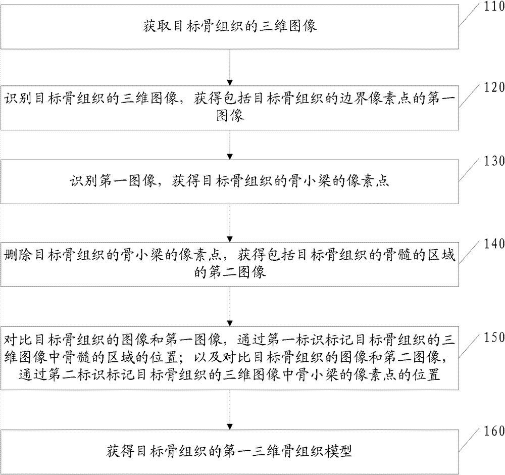 Three-dimensional bone tissue model building method and equipment