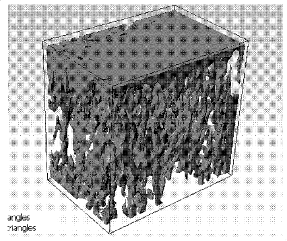 Three-dimensional bone tissue model building method and equipment