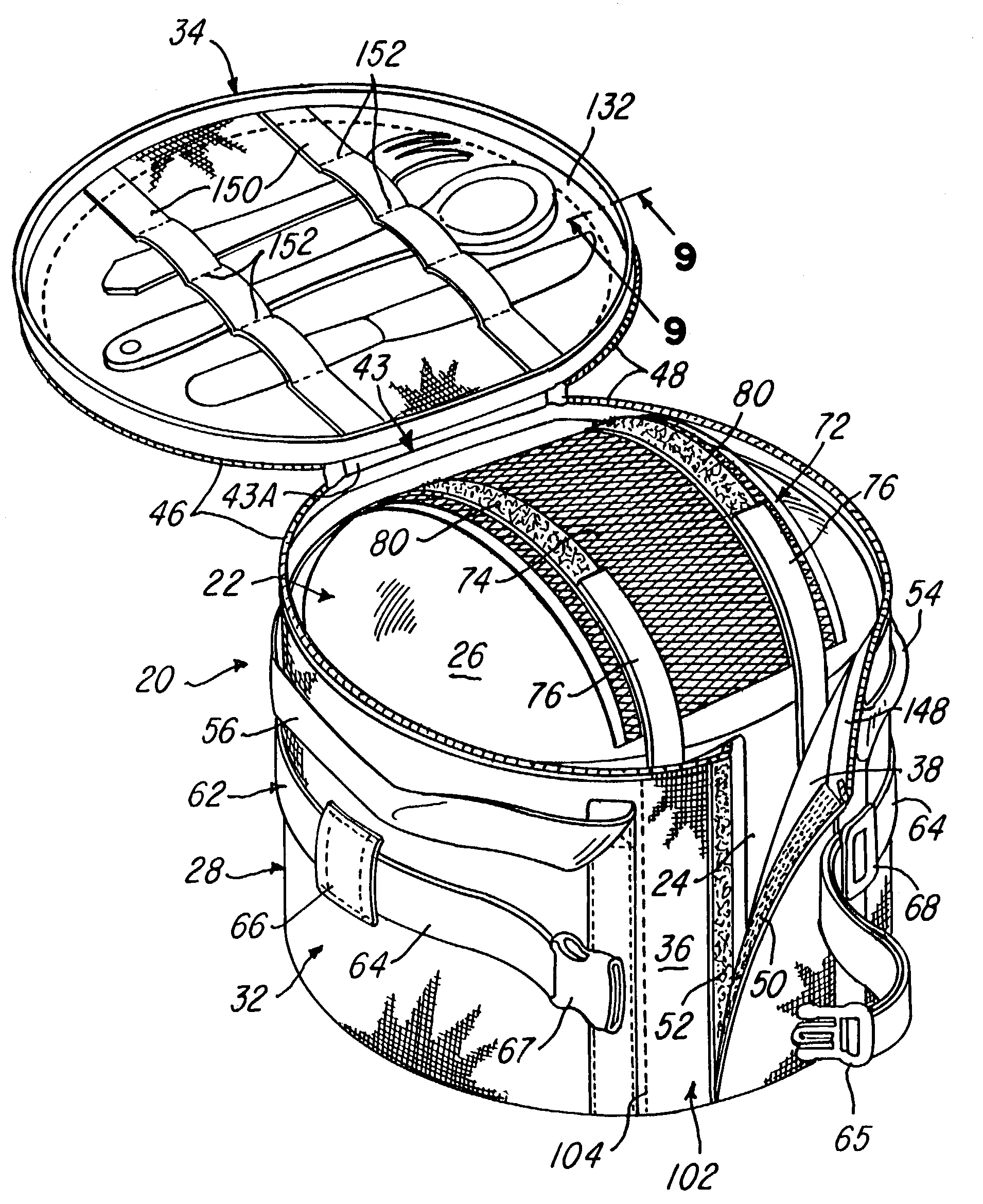 Carrying case for a container