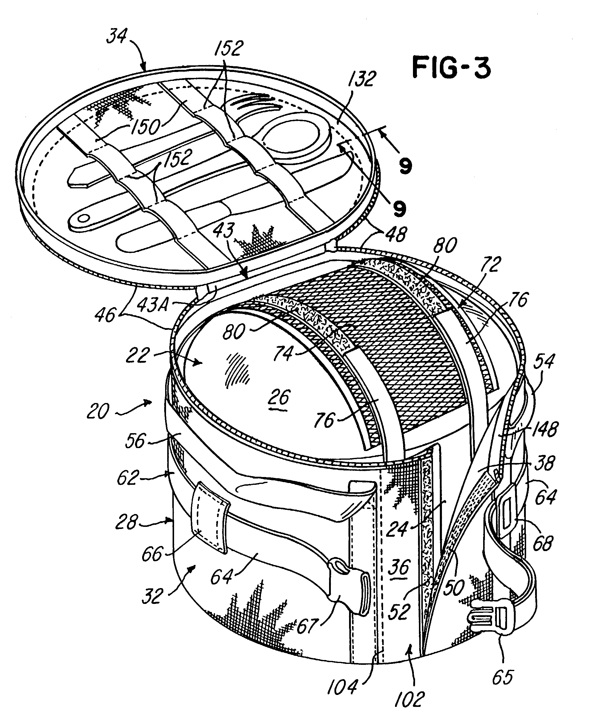 Carrying case for a container