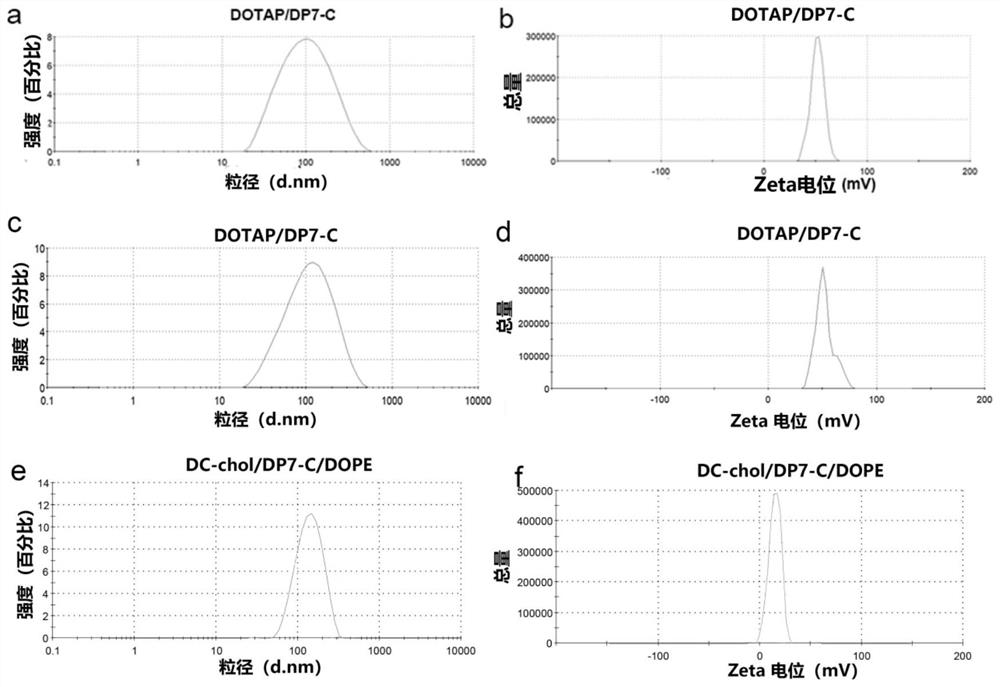 Polypeptide-modified liposome, mRNA delivery system and dendritic cell vaccine