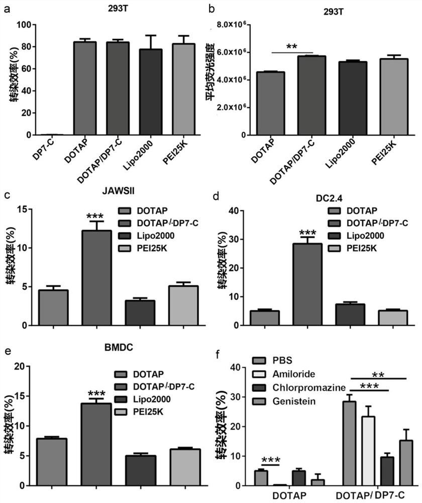 Polypeptide-modified liposome, mRNA delivery system and dendritic cell vaccine