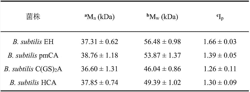 Heparin precursor synthase and application thereof