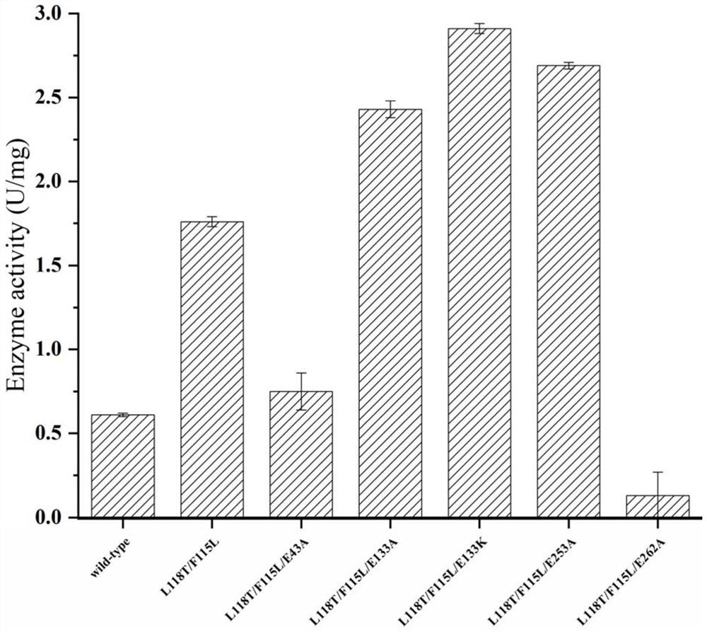 Omega-transaminase mutant, gene and application