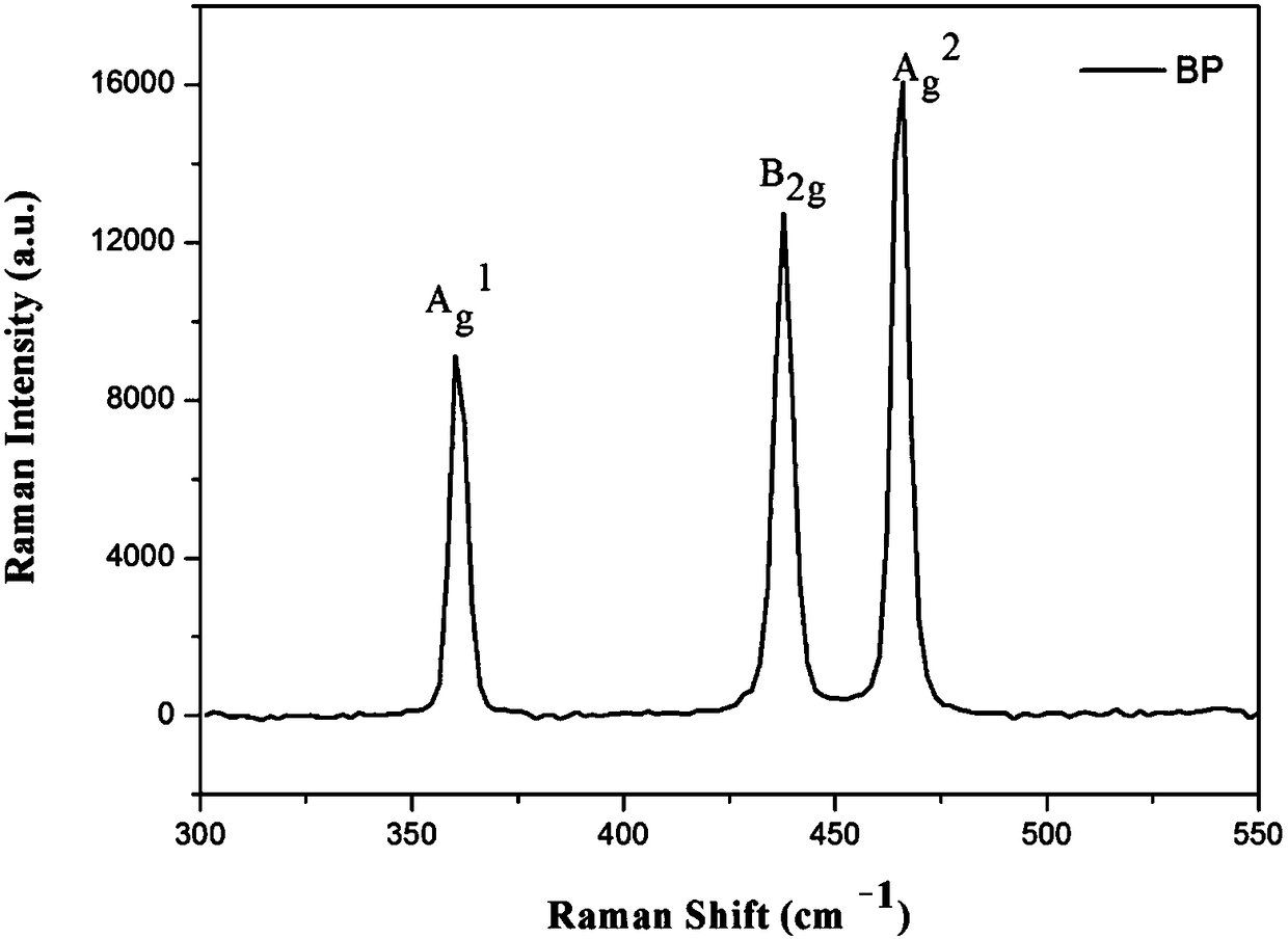 Black phosphorene as well as preparation method and application thereof