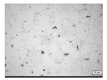 Rare-earth and Zr reinforced Mg-Li based wrought magnesium alloy and preparation method thereof