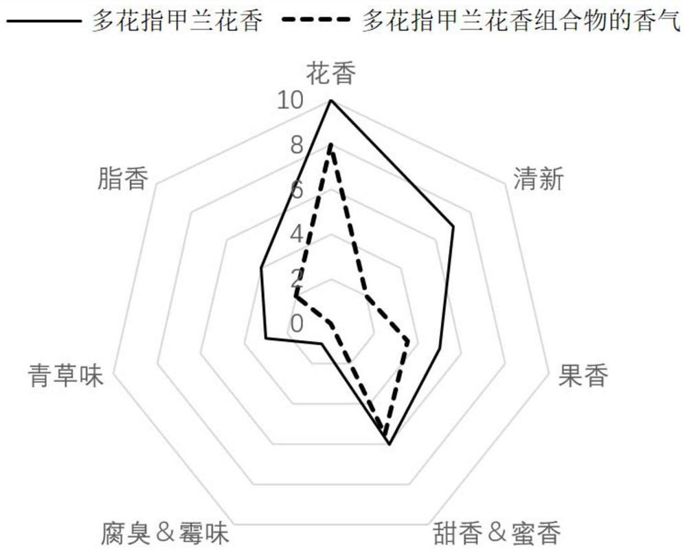 Aerides rosea fragrance composition as well as preparation method and application thereof