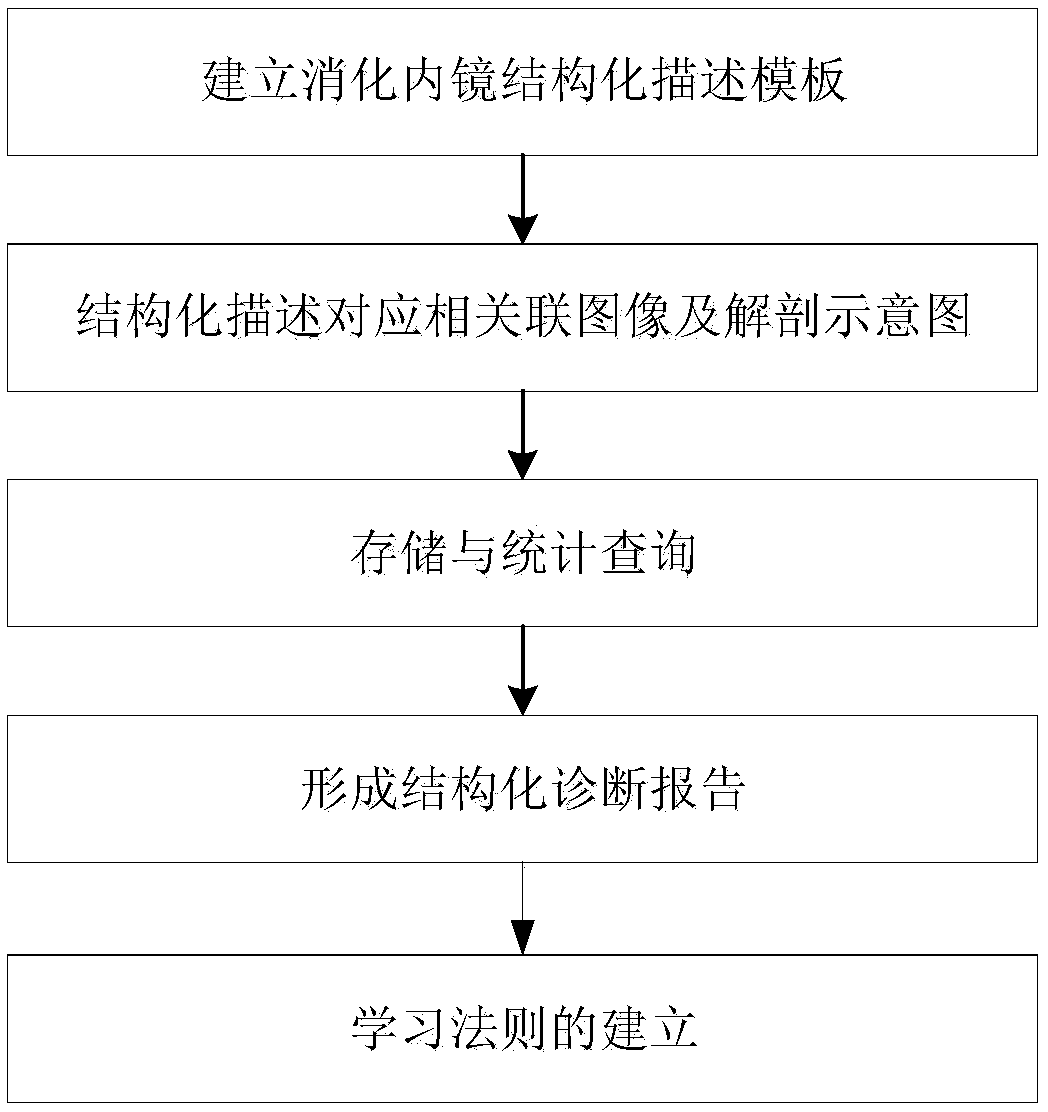 Gastroendoscope structured report system and establishing method thereof