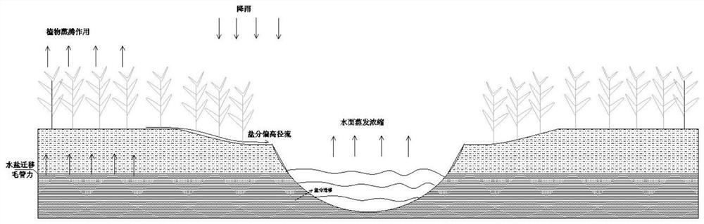 Soil and water salinity regulation and control system for green infrastructures of sponge city and regulation and control method