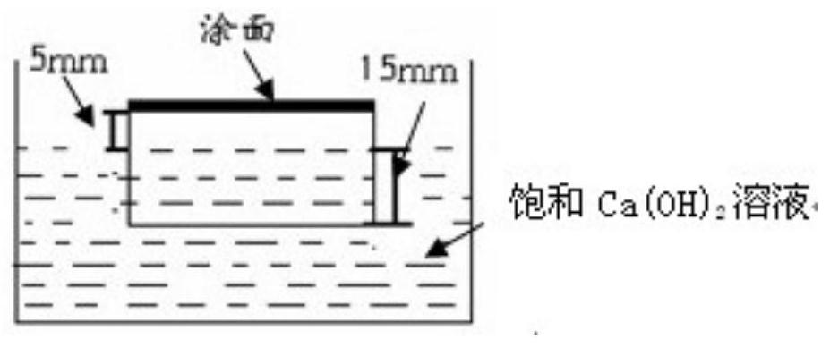 Coating system with reinforced concrete pursuit performance, and anti-corrosion application of coating system