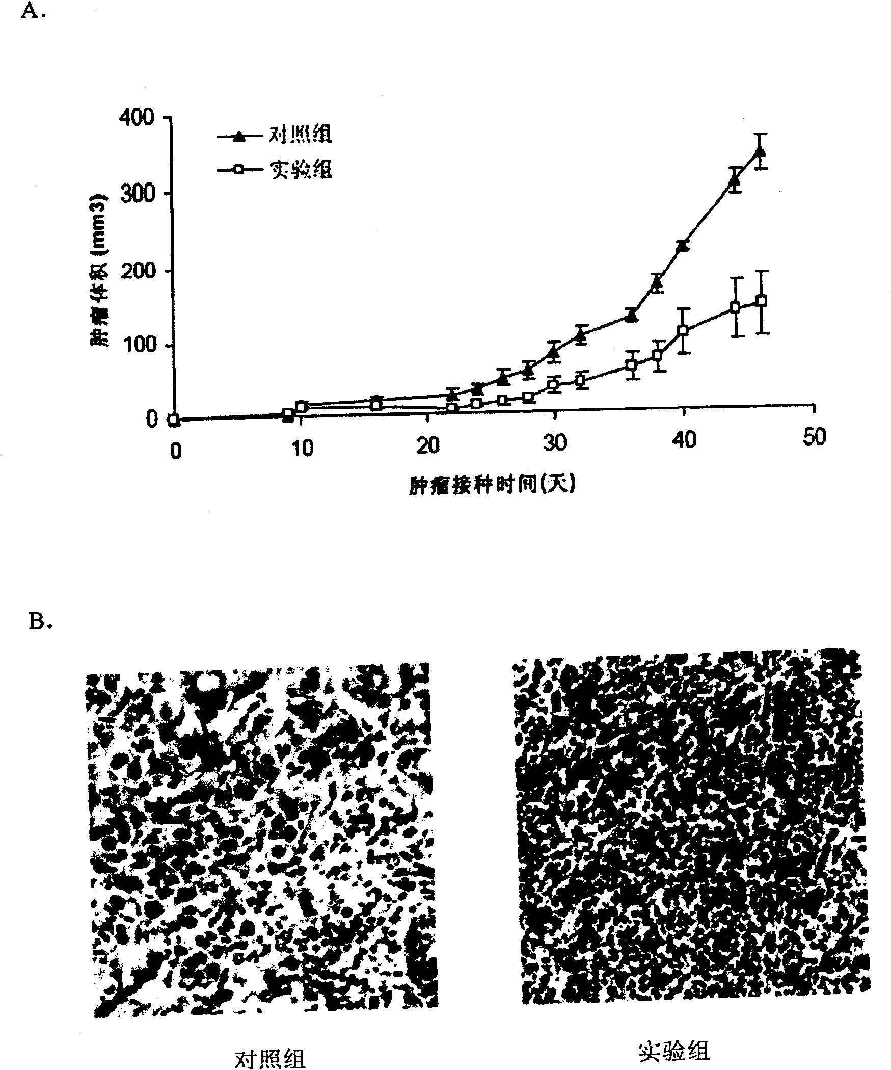 Expression method of glucosal related protein and application thereof