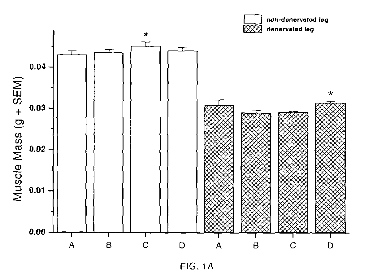 Methods for identifying compounds for regulating muscle mass or function using dopamine receptors