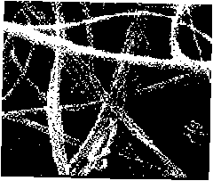 Fully-degradable polylactic acid fiber melt-blowing nonwoven and preparation method thereof