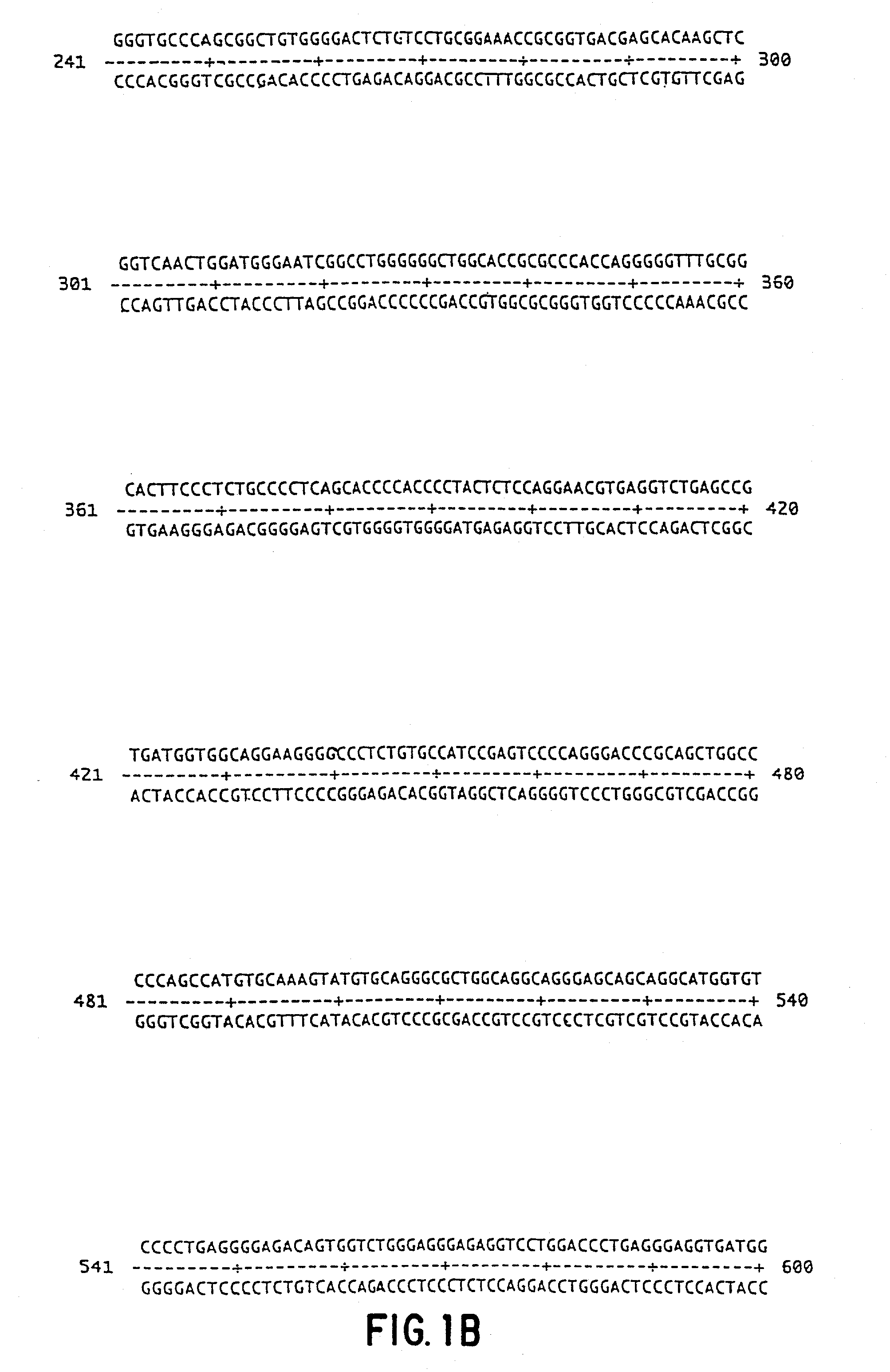 Methods and compositions for inducing tumor-specific cytotoxicity