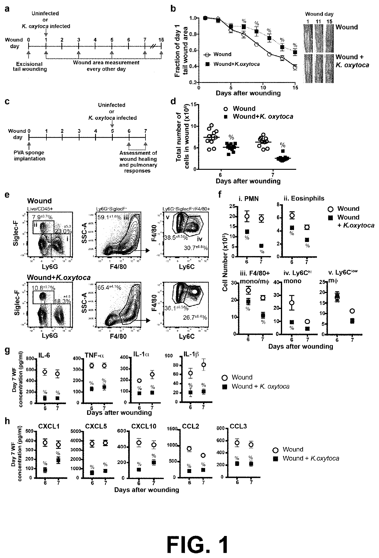 Compositions and methods to enhance cutaneous wound healing