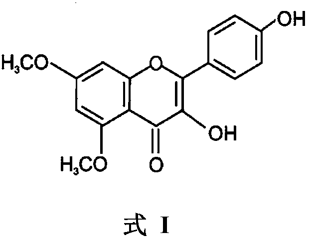 Use of 5,7-methoxy-3,4'-flavonol in resisting of respiratory tract inflammatory diseases