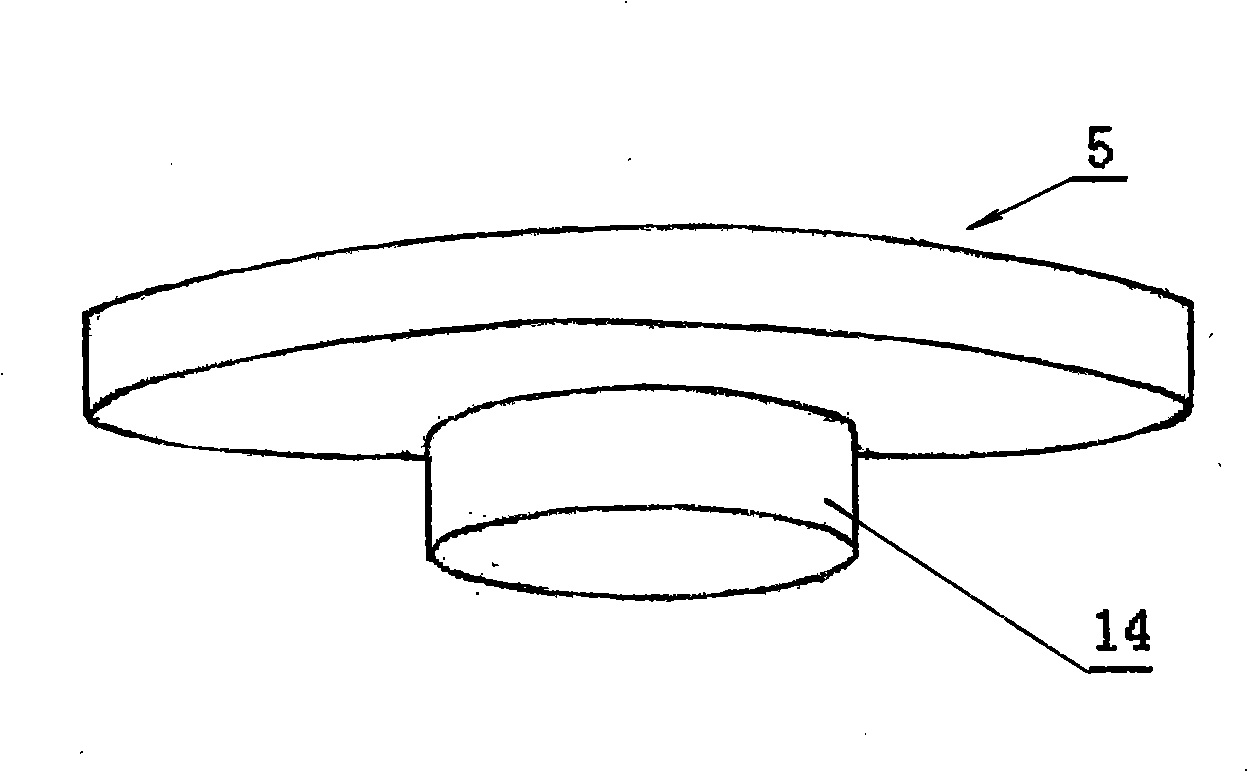 Peanut extracting oil and saving kernel apparatus and method and production of albumen powder, peanut powder