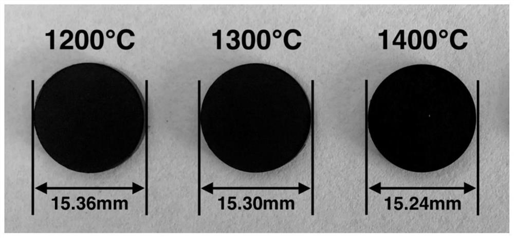 A kind of non-melting pretreatment of polycarbosilane and its cracking conversion method for three-dimensional ceramics