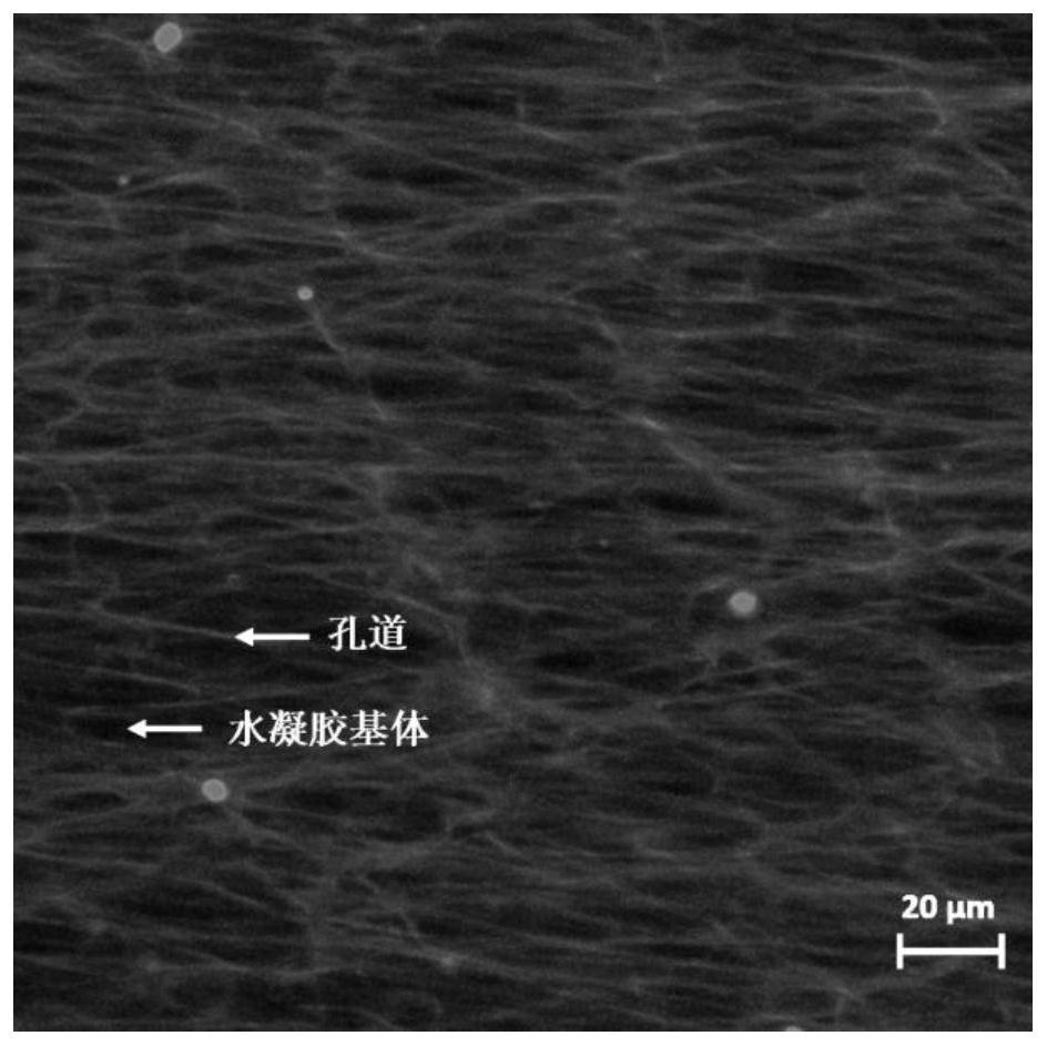 A method for constructing directional and ordered pores inside elastic hydrogels