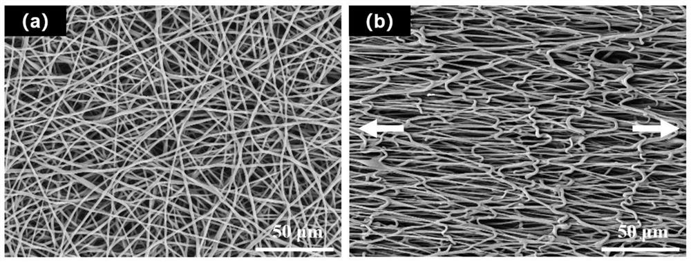 A method for constructing directional and ordered pores inside elastic hydrogels