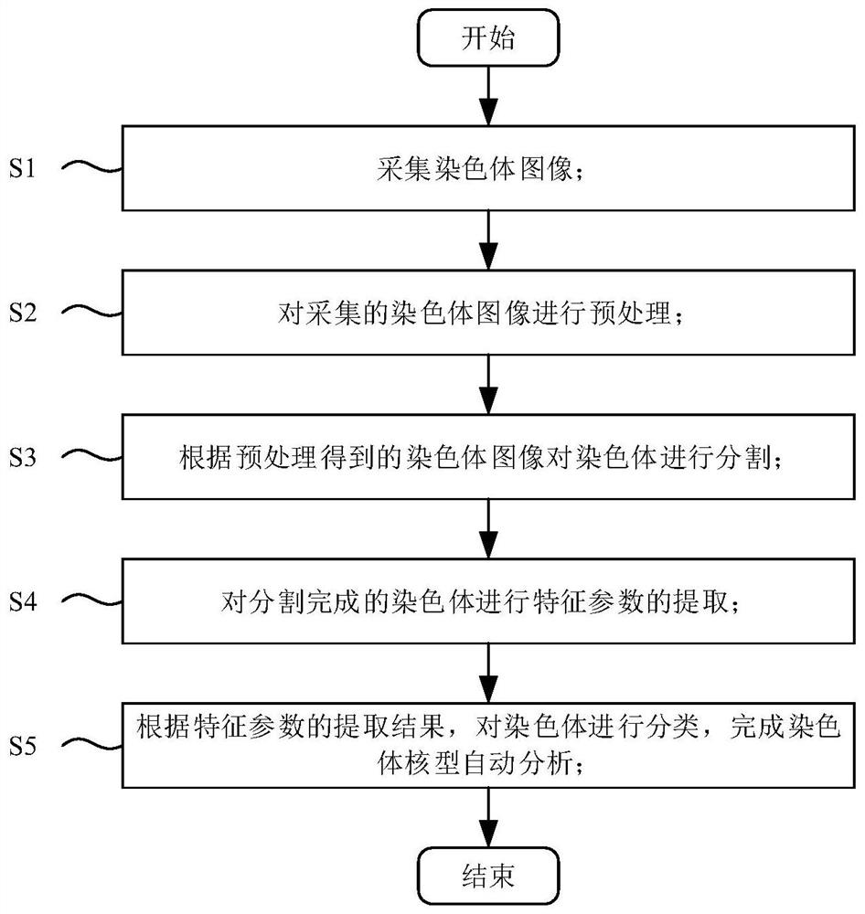 A blood tumor chromosome karyotype automatic analysis method and system