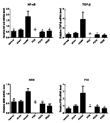 Application of polydatin in preparation of drug for treating and preventing intrauterine adhesions