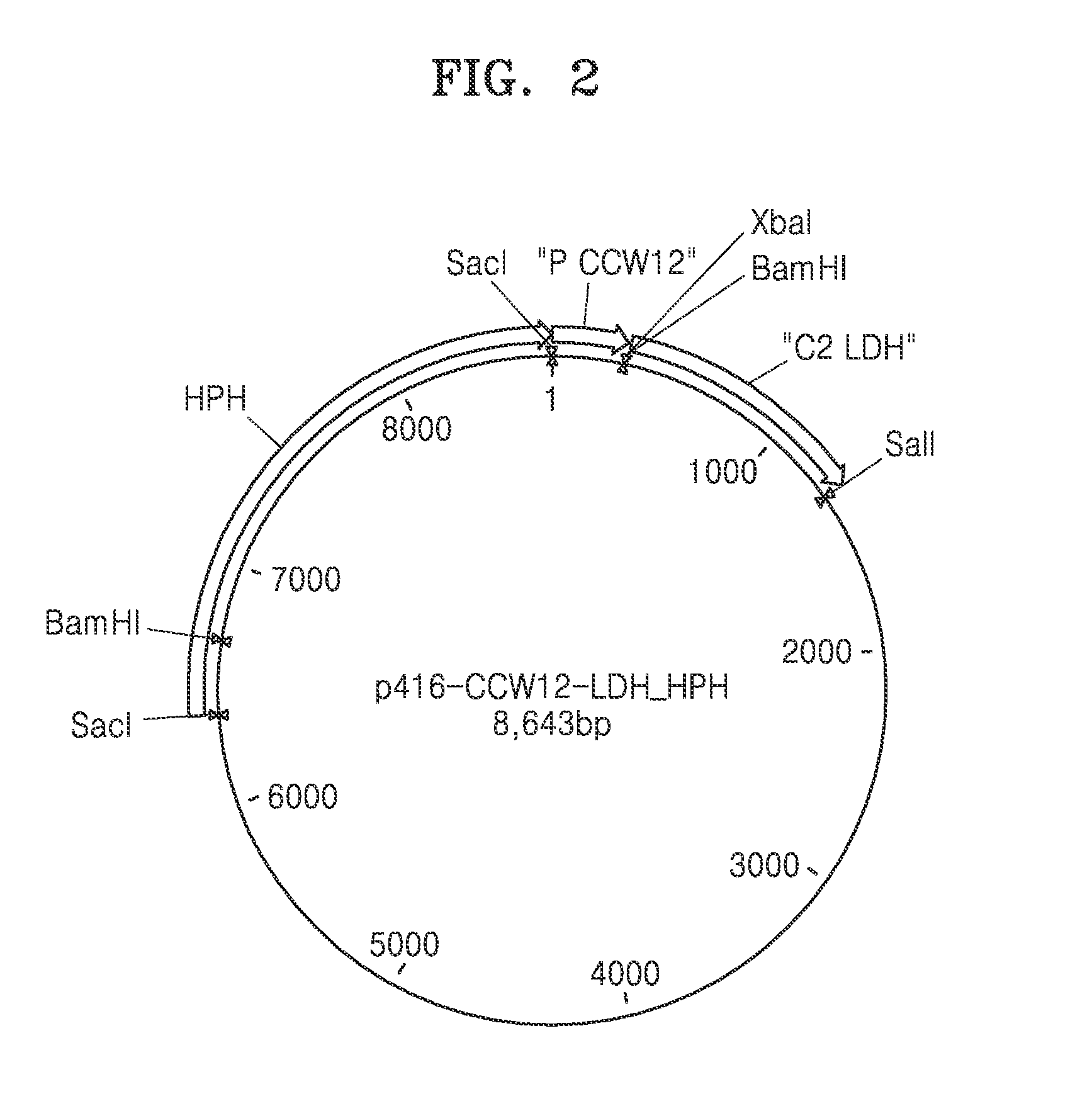 Genetically engineered yeast cell producing lactate including acetaldehyde dehydrogenase, method of producing yeast cell, and method of producing lactate using the same