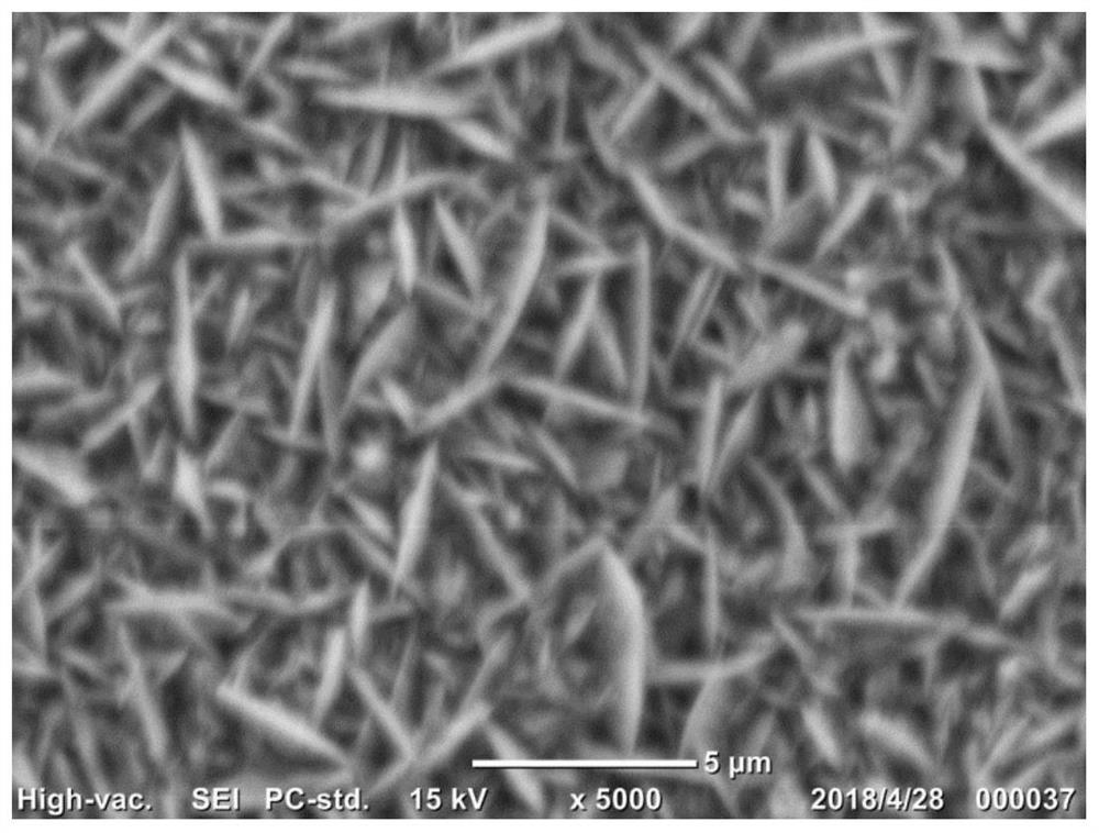 a co  <sub>2</sub> Electrode for electrochemical reduction and its preparation and application