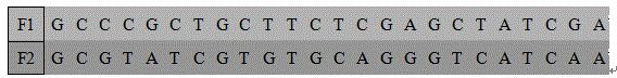 Test kit for alpha-thalassemia gene mutations