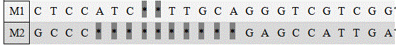 Test kit for alpha-thalassemia gene mutations