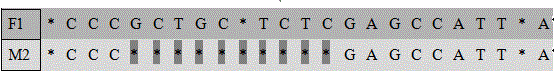 Test kit for alpha-thalassemia gene mutations