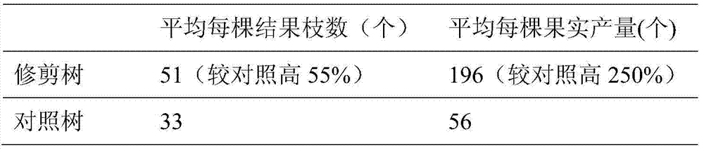 Method for yearly pruning apocarya for multiple bearing branch cultivation