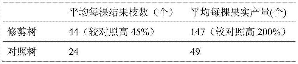 Method for yearly pruning apocarya for multiple bearing branch cultivation