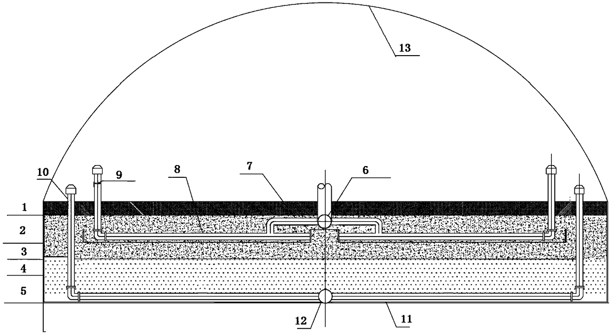 Efficient and stable domestic sewage ecological treatment device and operation method