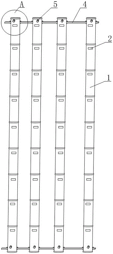 Biological strain embedding device for pre-processing biological reaction tank and processing technology