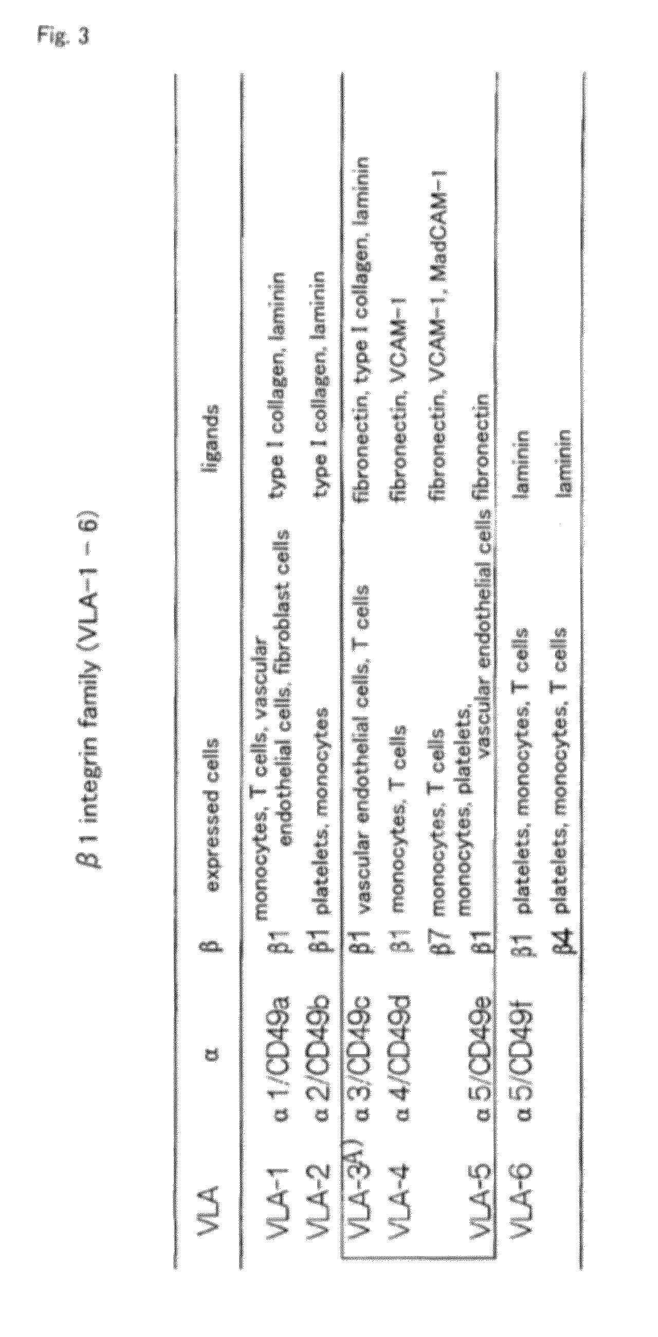 Method for efficient production of monocyte-derived multipotent cell (MOMC)