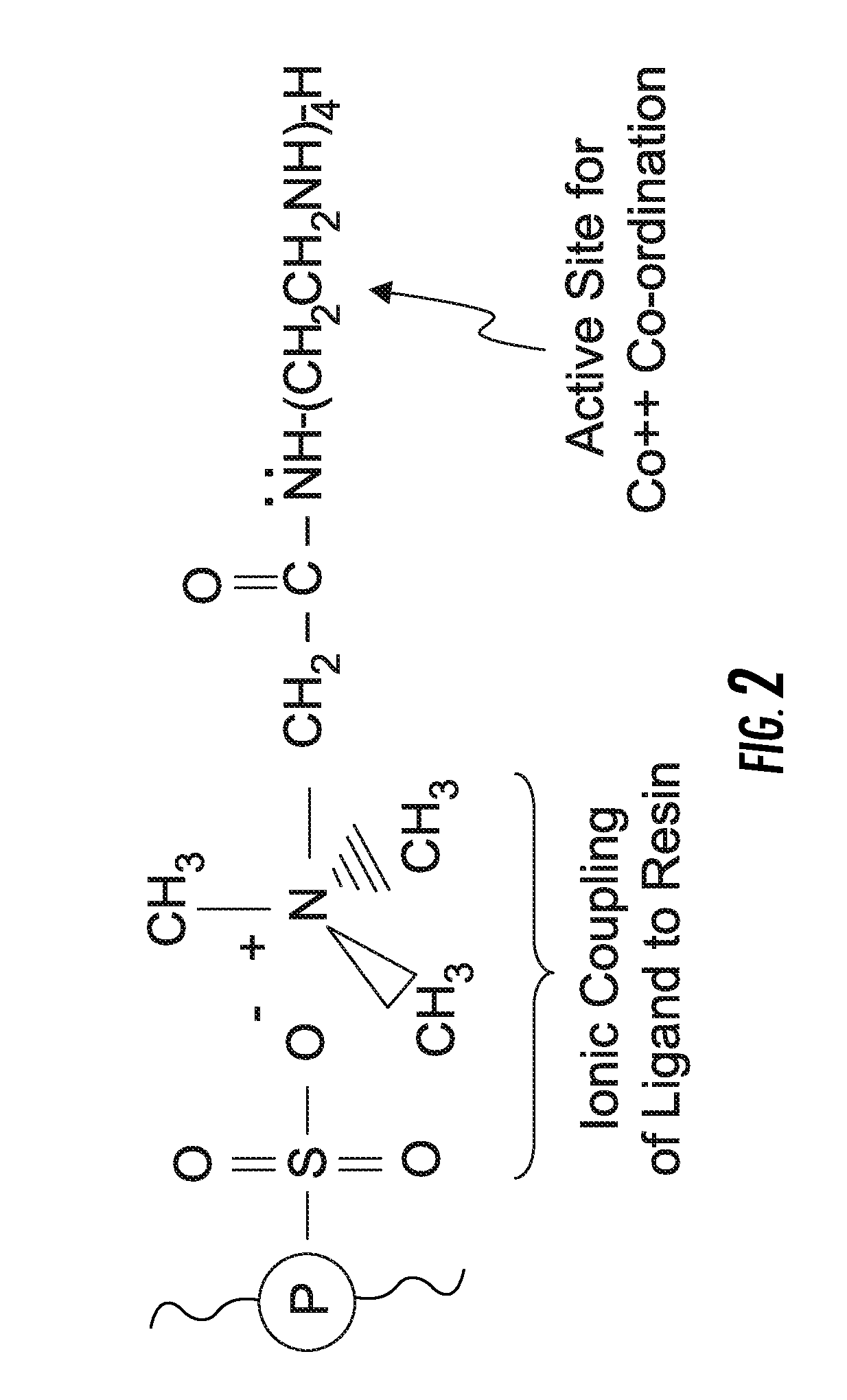 Light water reactor primary coolant activity cleanup